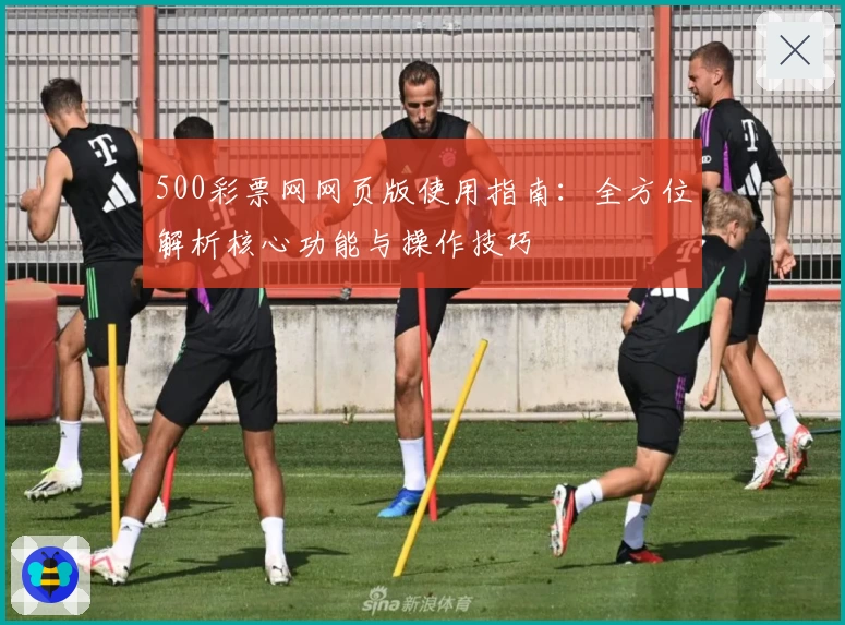 500彩票网网页版使用指南：全方位解析核心功能与操作技巧