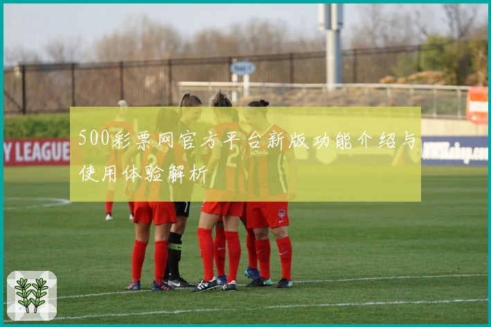 500彩票网官方平台新版功能介绍与使用体验解析